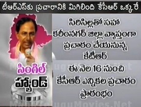 TRS Plans 700 3D screen Meetings Over Election Campaign