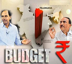 Telangana Budget -2014 Highlights