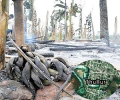 Thullur Farms Fire: Two Suspects Arrested