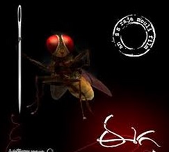 A Sequel for Eega on Cards!