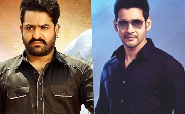 Silly Fight Between Mahesh and NTR Fans
